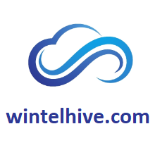 wintelhive.com