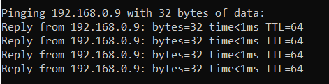 ESXi ping test