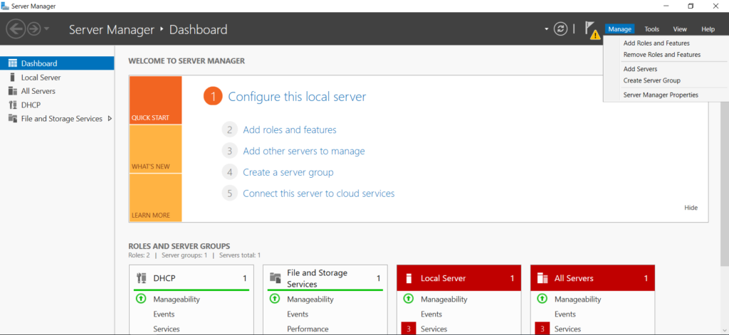 Windows manager for DNS server installation