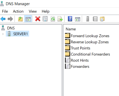 Windows DNS manager