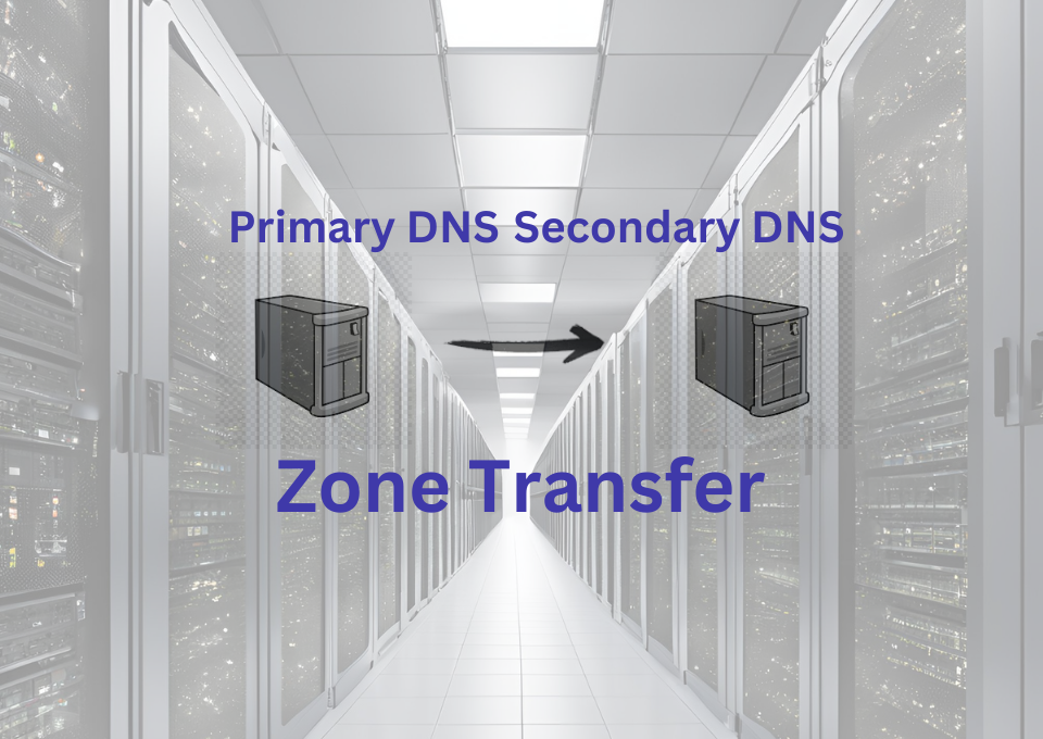 Primary and Secondary DNS