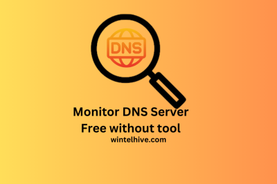 Free DNS Monitoring Without Tool