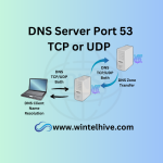 DNS Port 53 TCP or UDP