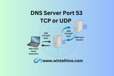 DNS Port 53 TCP or UDP?